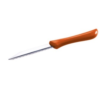 mini52035738-69ce-4409-a752-90fdbcb4fcfb